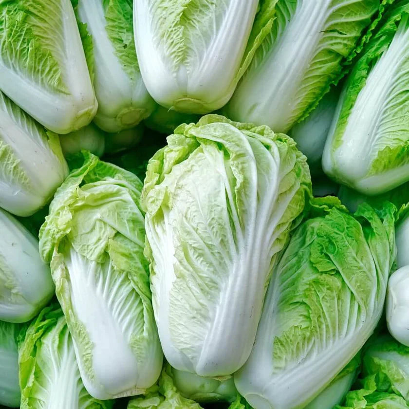 Semences Hortinova de Chou chinois Nappa 'Akeno' F1, produit destiné au potager et présenté pour identifier clairement le cultivar avant le semis. Vue 1 de l'emballage ou du produit, à utiliser comme repère visuel avec les conseils de culture, l'exposition, l'arrosage et la récolte indiqués dans la fiche française de Pépinière.ca.