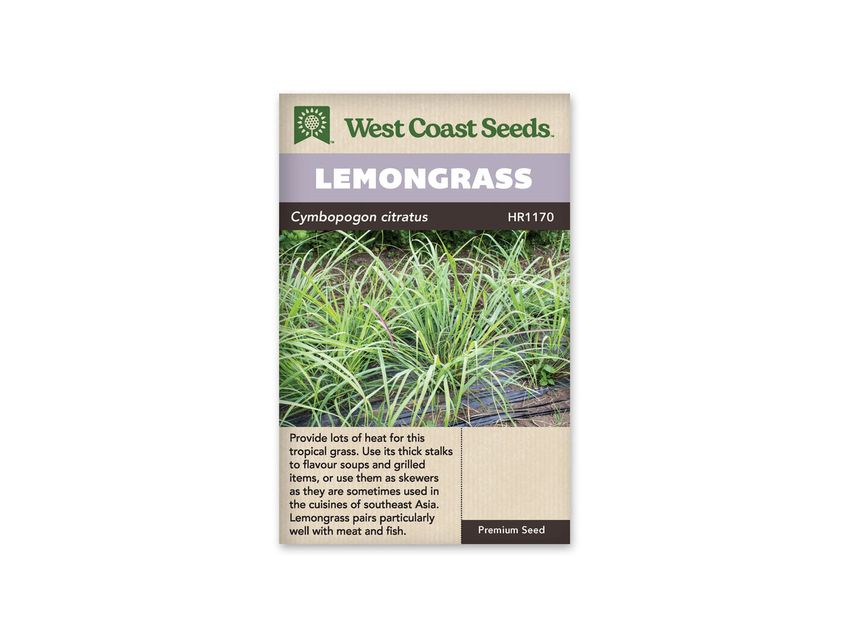 Sachet de citronnelle West Coast Seeds présenté de face sur fond blanc. La photographie montre une touffe de longues feuilles vertes étroites, dressées puis arquées, dans un jardin. Le bandeau mauve porte le nom LEMONGRASS. La partie beige inférieure contient une description en anglais, avec le logo de la marque au bas du sachet.