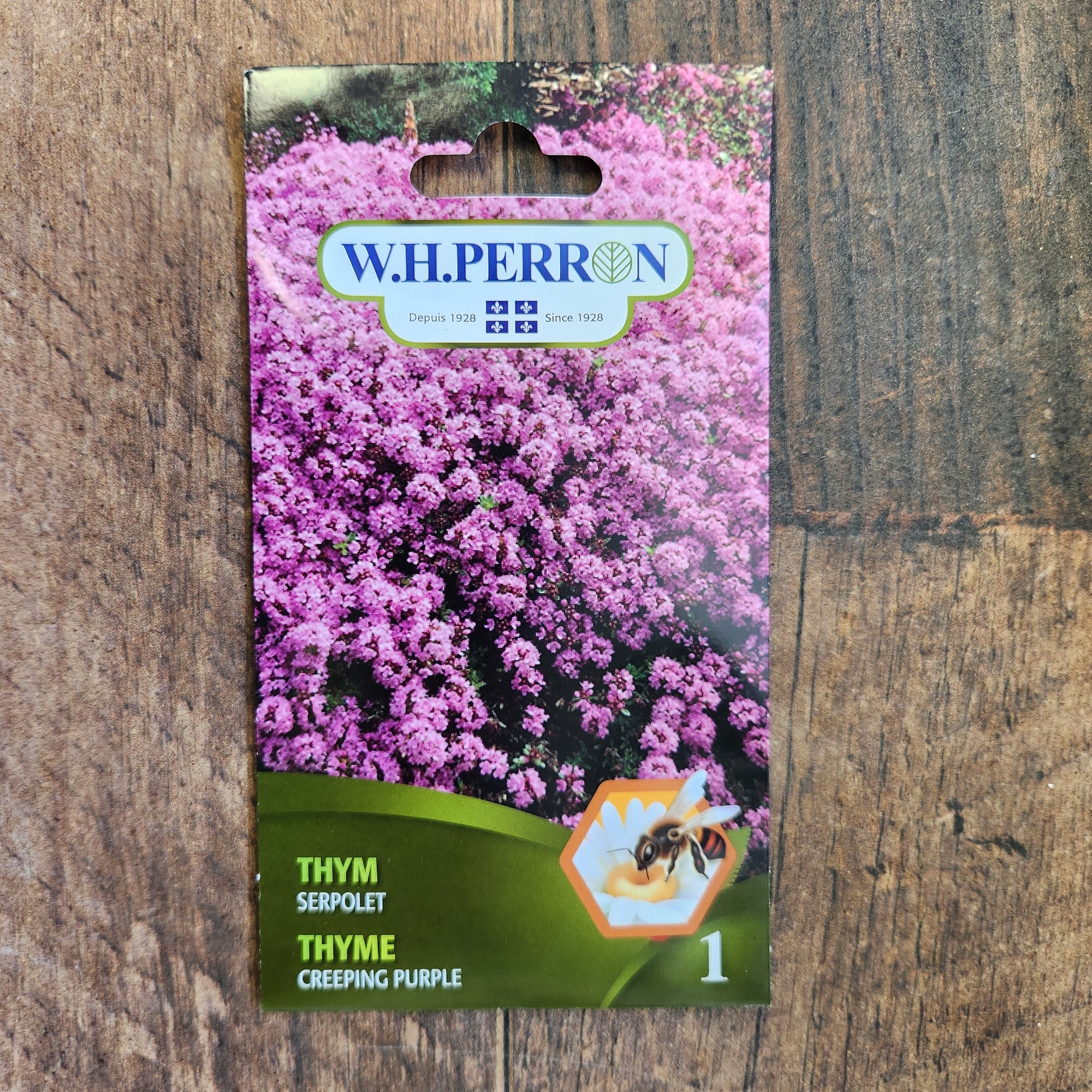 Thym serpolet 'Pourpre'