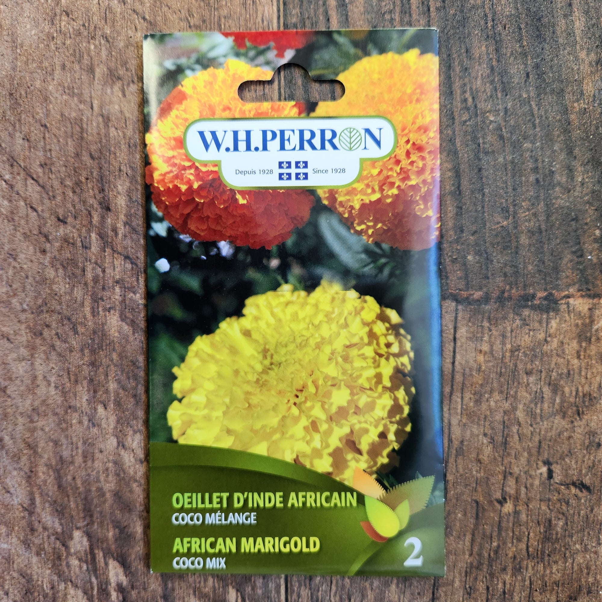 African marigold 'Coco' blend