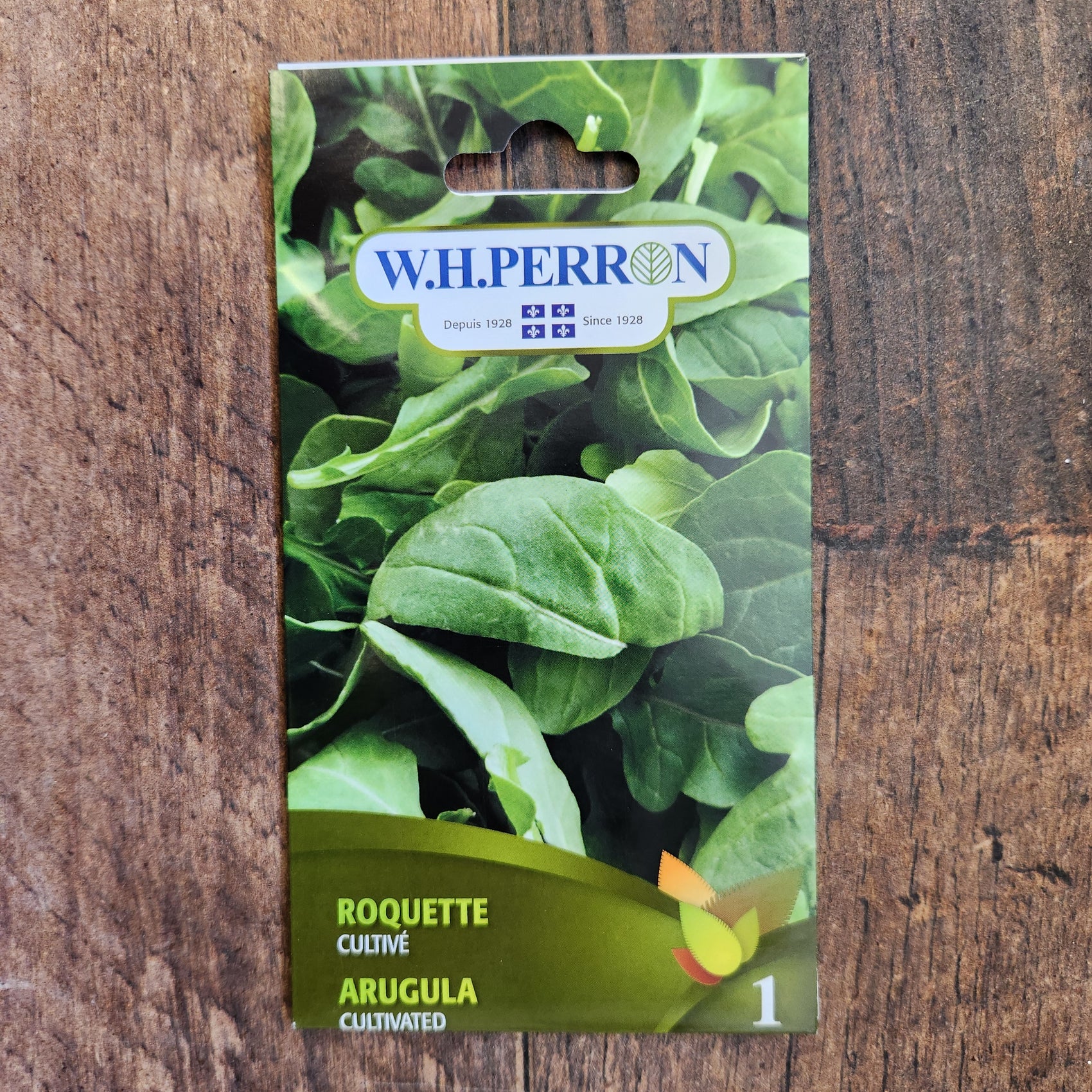 Roquette cultivée