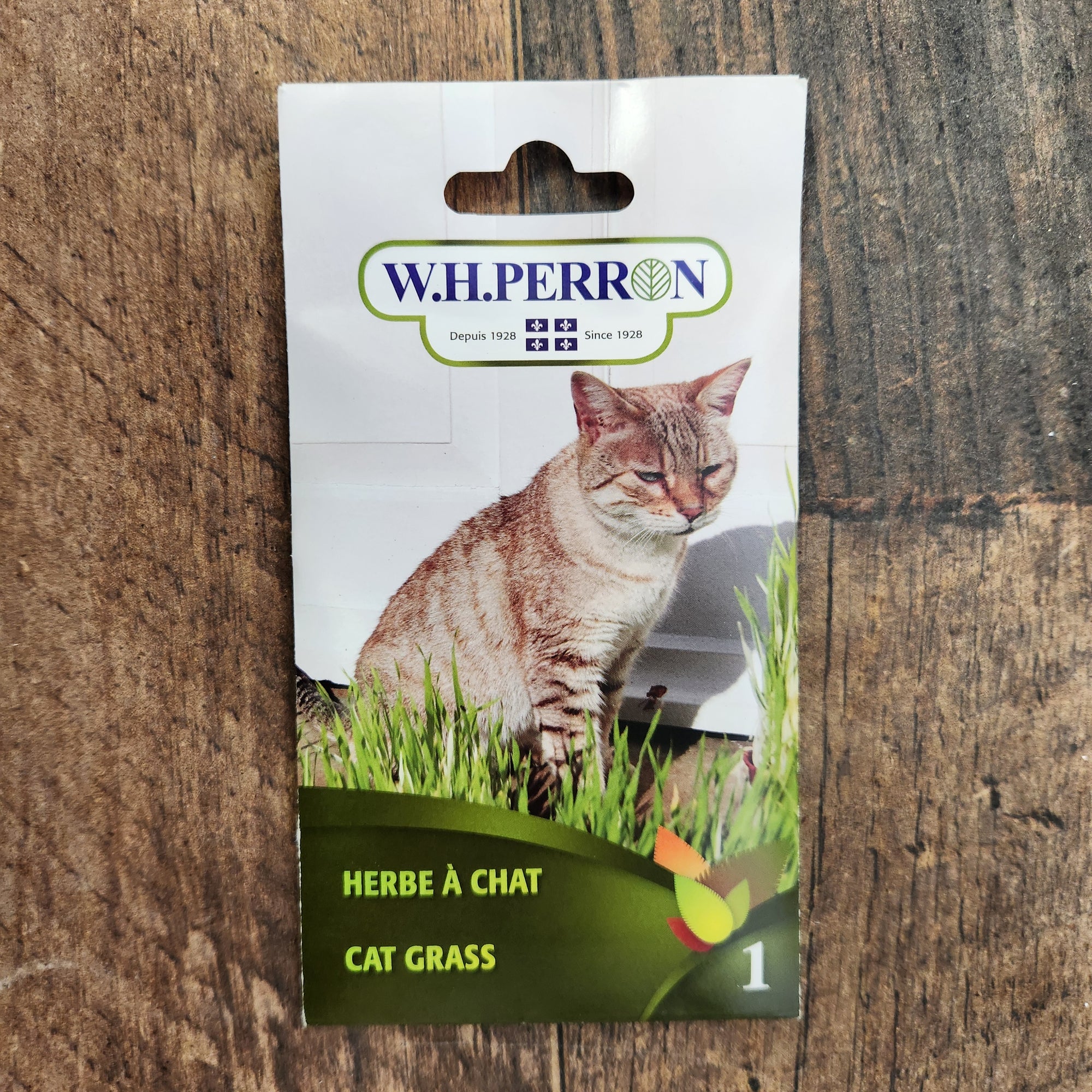 Catnip