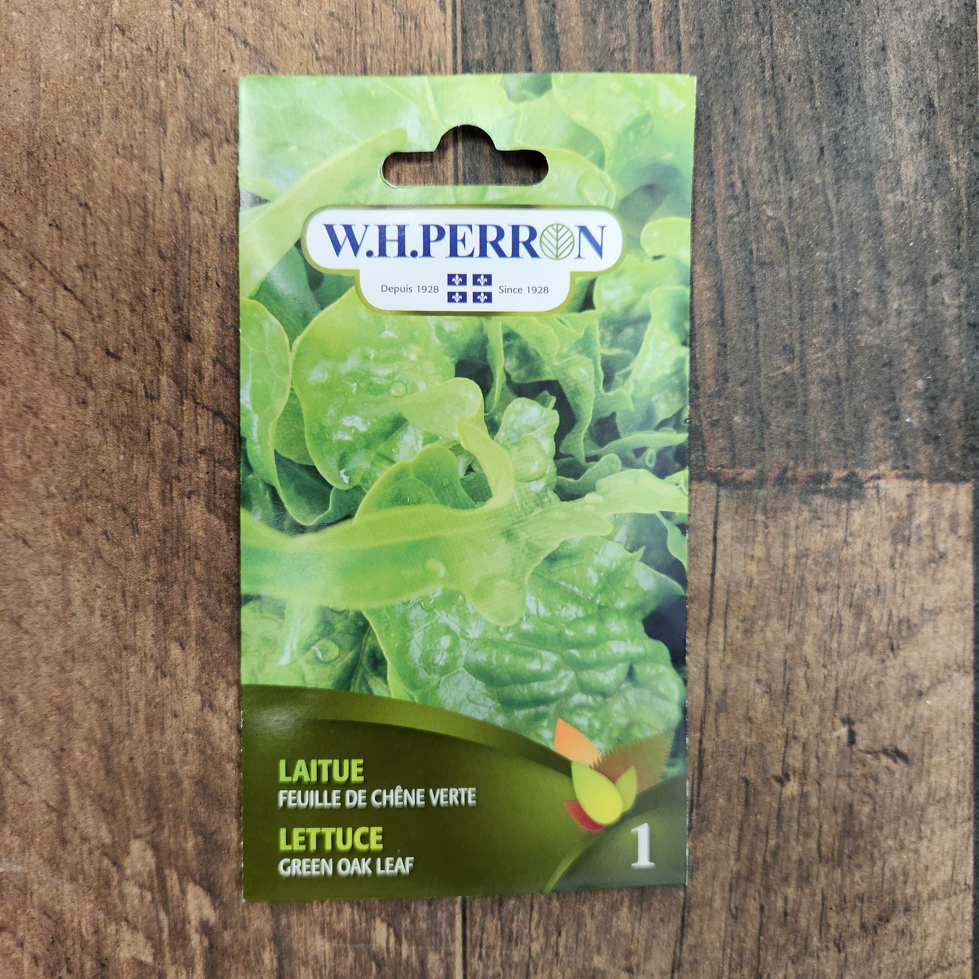 Laitue à feuille de chêne verte