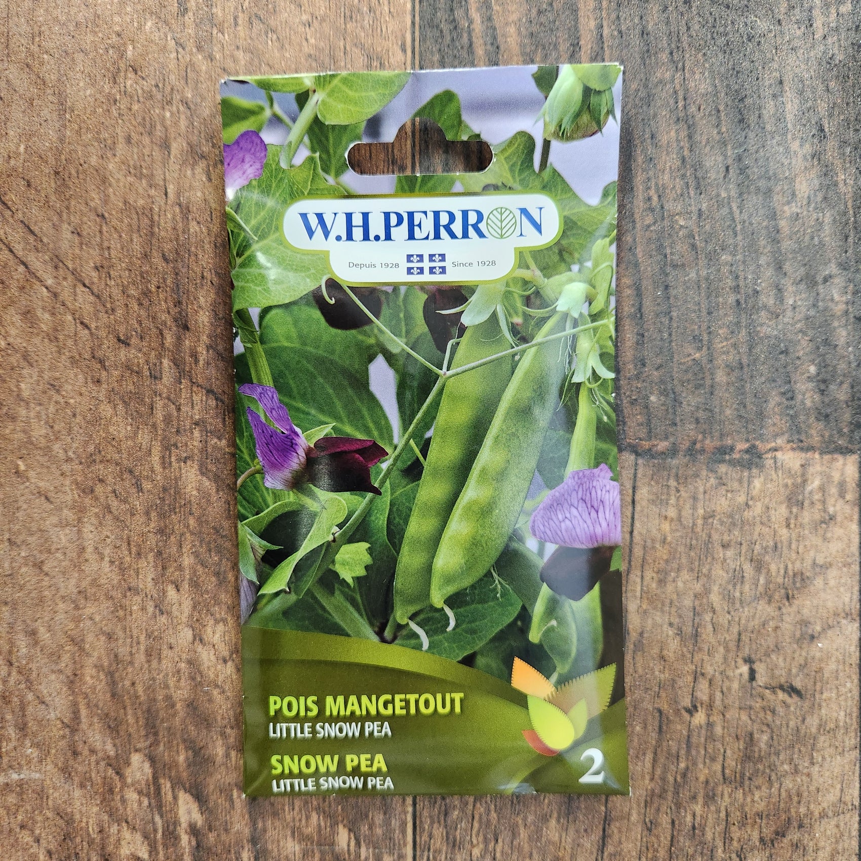Pois mange-tout 'Little Snow Pea'