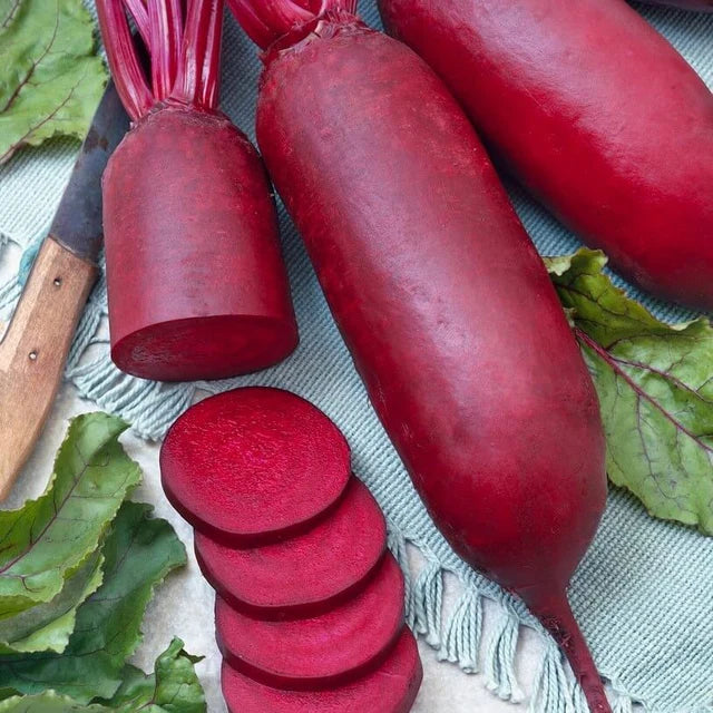 Semences Hortinova de Betterave 'Kosak', produit destiné au potager et présenté pour identifier clairement le cultivar avant le semis. Vue 1 de l'emballage ou du produit, à utiliser comme repère visuel avec les conseils de culture, l'exposition, l'arrosage et la récolte indiqués dans la fiche française de Pépinière.ca. Pour Betterave 'Kosak', des observations régulières permettent d'ajuster les soins aux conditions réelles du jardin.