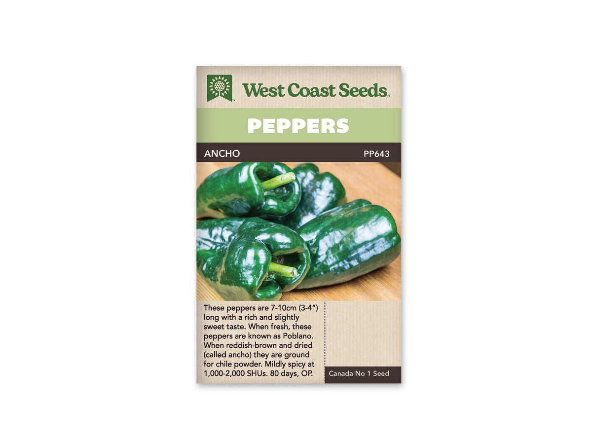 Sachet West Coast Seeds de piment Ancho avec bandeau vert et nom sur une ligne foncée. La photo présente plusieurs fruits verts très foncés, larges et brillants, posés sur une surface de bois clair. Leurs épaules sont arrondies et leurs extrémités se rétrécissent. Le texte descriptif apparaît dans la partie beige au bas du sachet.