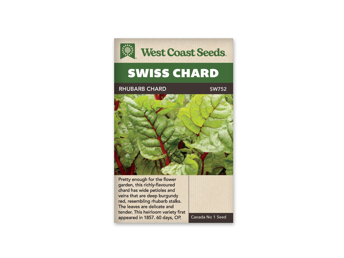 Sachet West Coast Seeds Rhubarb Chard montrant des feuilles de bette vertes et gaufrées. Des nervures rouge foncé se ramifient dans les feuilles, tandis que des pétioles rouges apparaissent plus bas. Les jeunes feuilles sont plus claires dans le haut de la photo. Le nom Rhubarb Chard figure dans le bandeau brun du sachet.