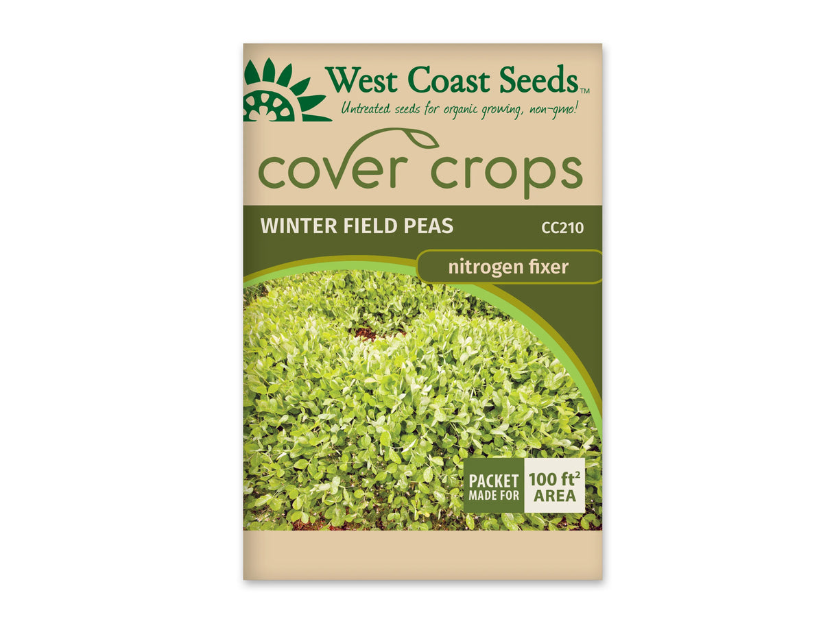 Sachet beige et vert West Coast Seeds de la gamme Cover Crops, portant le nom anglais Winter Field Peas et le code CC210. La photo centrale montre un couvert dense de jeunes feuilles vert clair, avec quelques petites zones de terre visibles. Un encadré vert et blanc dans le coin inférieur droit annonce une couverture de 100 pieds carrés. Le sachet est présenté sur fond blanc.