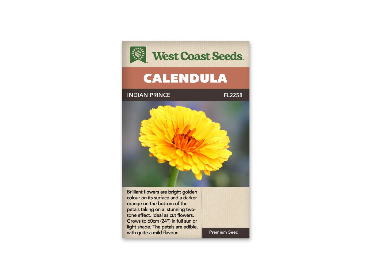 Sachet Indian Prince de West Coast Seeds sur fond blanc. Une grande fleur jaune doré occupe la photo, avec plusieurs rangs de pétales et des touches orange foncé près du centre. Sa tige verte se voit au bas. Le bandeau indique Calendula et le code FL2258 figure près du nom Indian Prince.