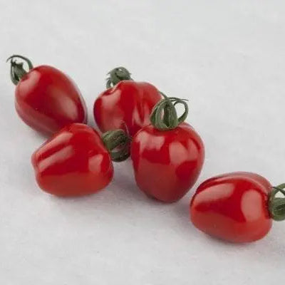 Photo de Tomate cerise Apple Red F1. La couleur caractéristique est : rouge. Le visuel permet d'observer les contours, les teintes et la disposition des éléments présentés. Les détails de forme et les contrastes donnent un aperçu de l'apparence de cette plante ou de sa récolte. Cette photographie accompagne la variété nommée afin de l'identifier dans la sélection de semences.