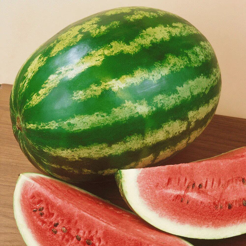 Semences Hortinova de Melon d'eau 'Crimson Baby', produit destiné au potager et présenté pour identifier clairement le cultivar avant le semis. Vue 1 de l'emballage ou du produit, à utiliser comme repère visuel avec les conseils de culture, l'exposition, l'arrosage et la récolte indiqués dans la fiche française de Pépinière.ca.