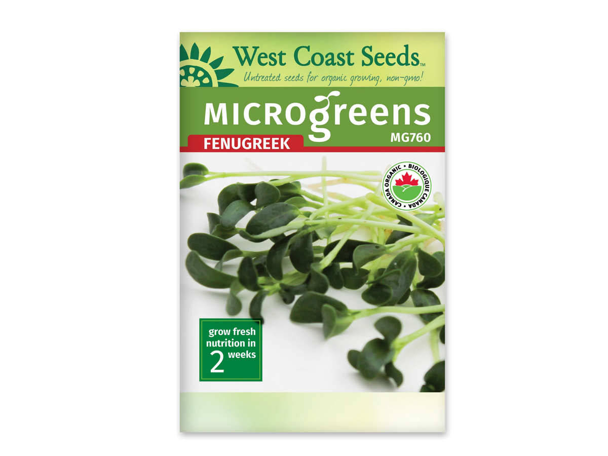 Sachet blanc West Coast Seeds pour micropousses de fenugrec, avec le nom Fenugreek en rouge sous un bandeau vert. La photographie montre des petites feuilles vert foncé sur de longues tiges pâles, couchées sur un fond blanc. Le code MG760 apparaît en haut à droite. Le logo biologique canadien et le délai de deux semaines sont visibles.