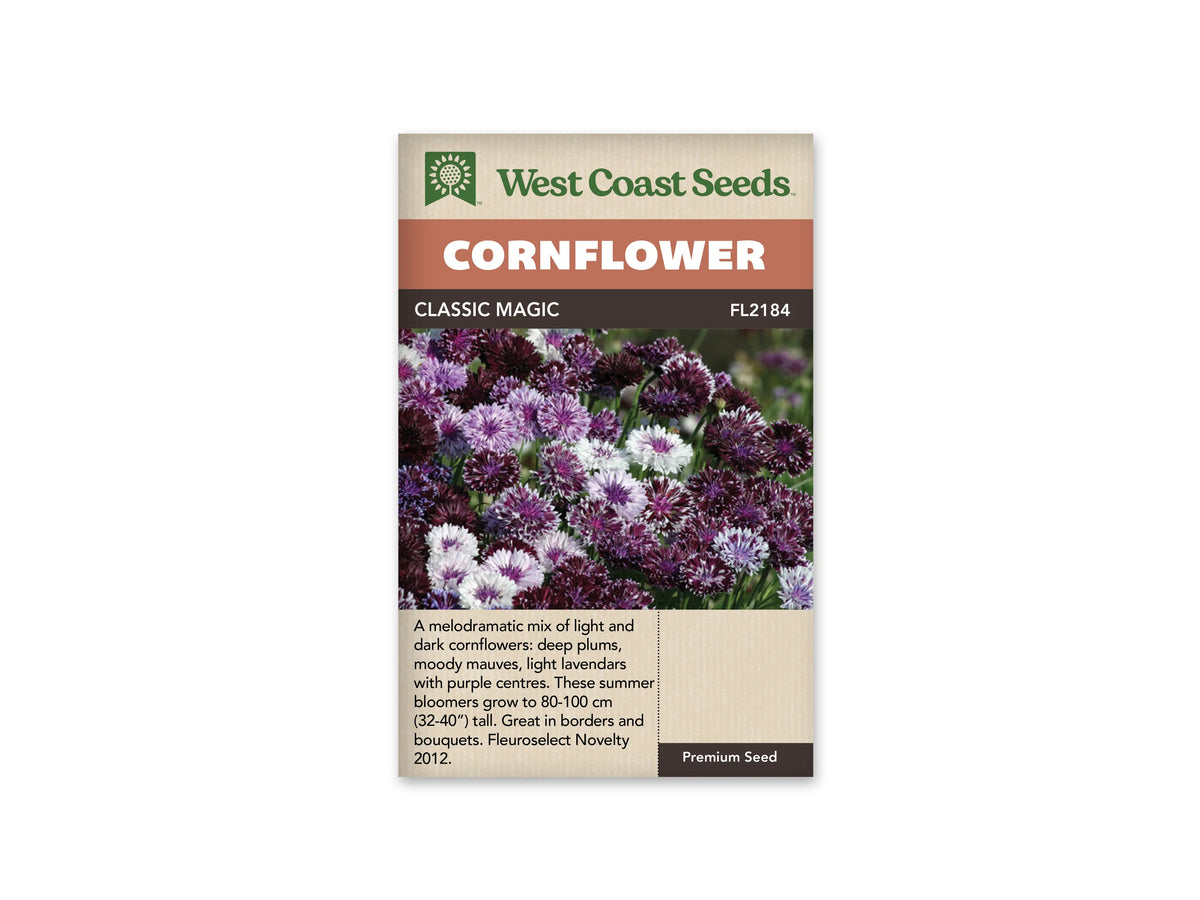 Sachet Classic Magic de West Coast Seeds sur fond blanc. La photo montre un groupe de fleurs pourpre foncé, mauves et presque blanches. Plusieurs ont des pointes claires ou un centre violet, sur des tiges vertes visibles entre les fleurs. Le bandeau orangé indique Cornflower; Classic Magic et FL2184 se lisent dans la bande brune.