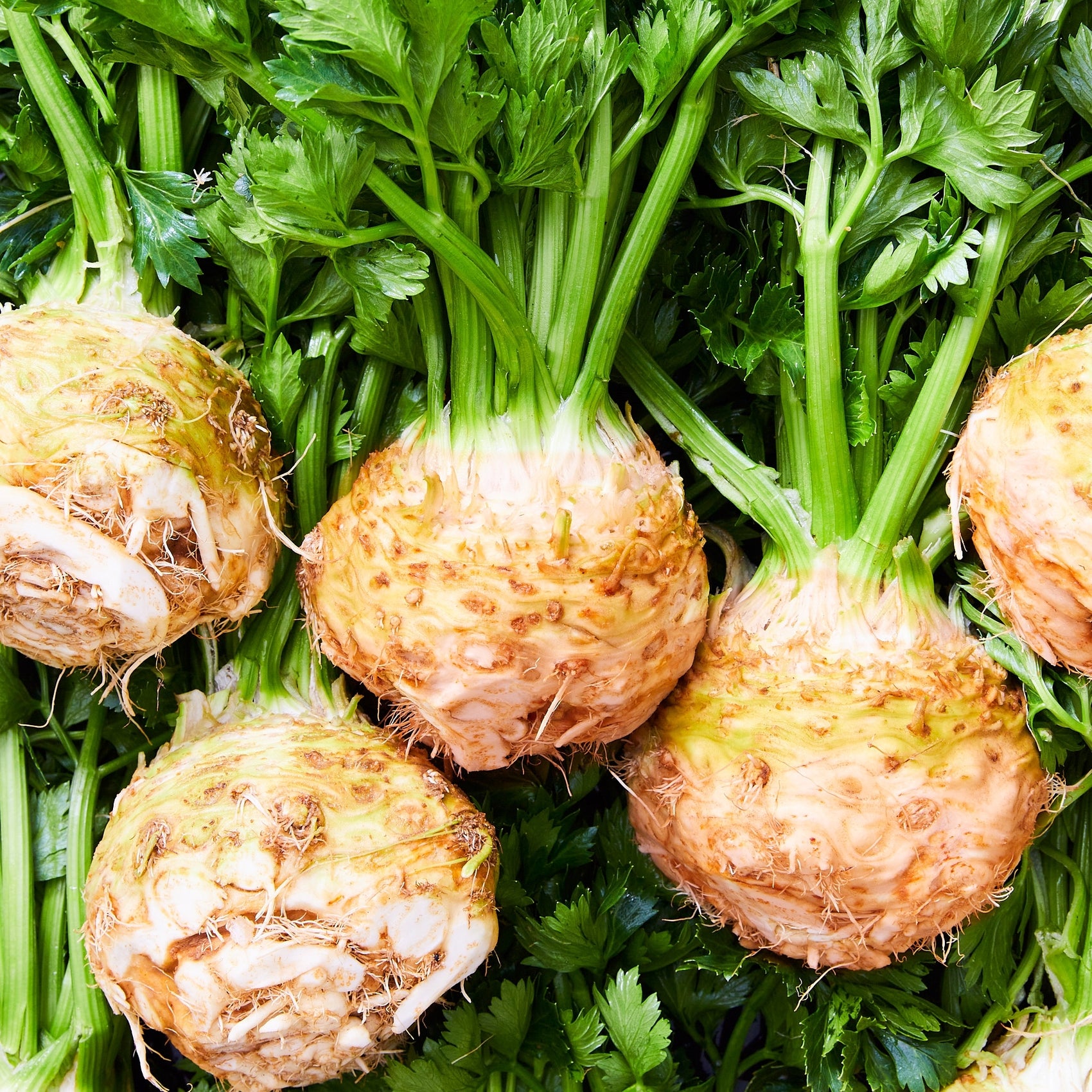 Celeriac