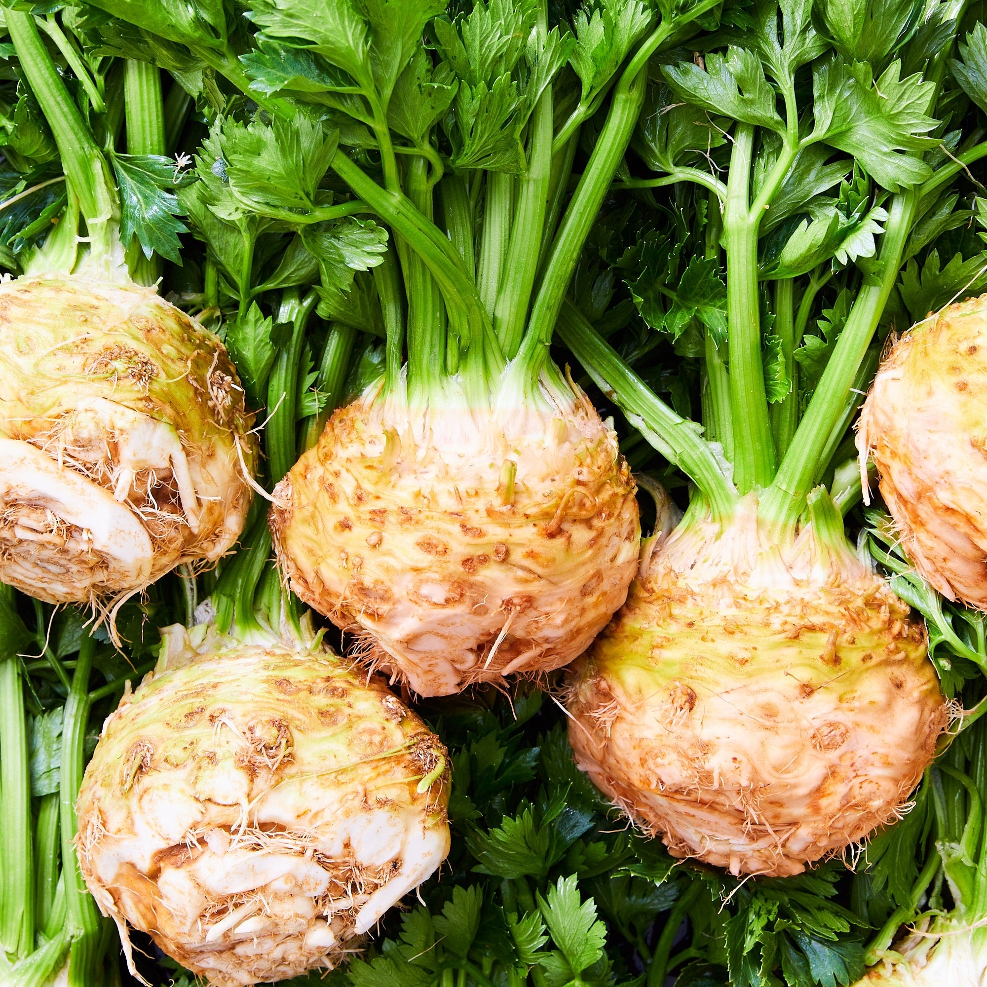 Celeriac