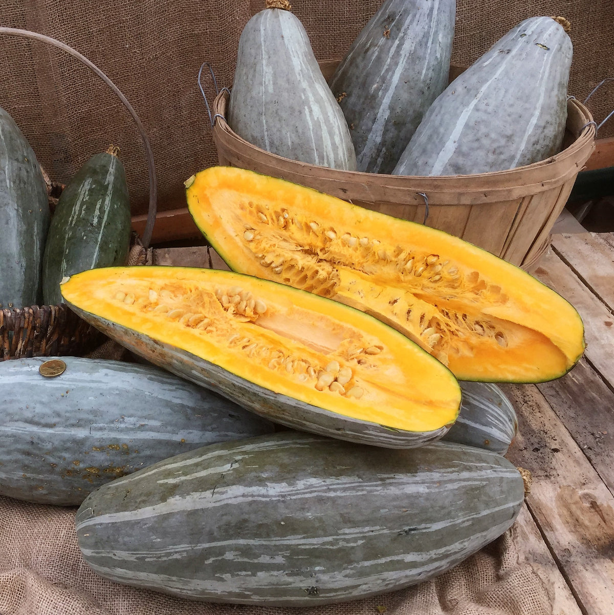 Courge Bleue du Guatemala. Courge allongée gris bleu, entière et ouverte sur une chair orange. Le cadrage permet de voir les formes, les couleurs et les détails du sujet représenté. Les contours se détachent du fond de l’image, avec des différences de teinte et de texture visibles sur les surfaces. Cette vue accompagne la présentation du produit dans la boutique.