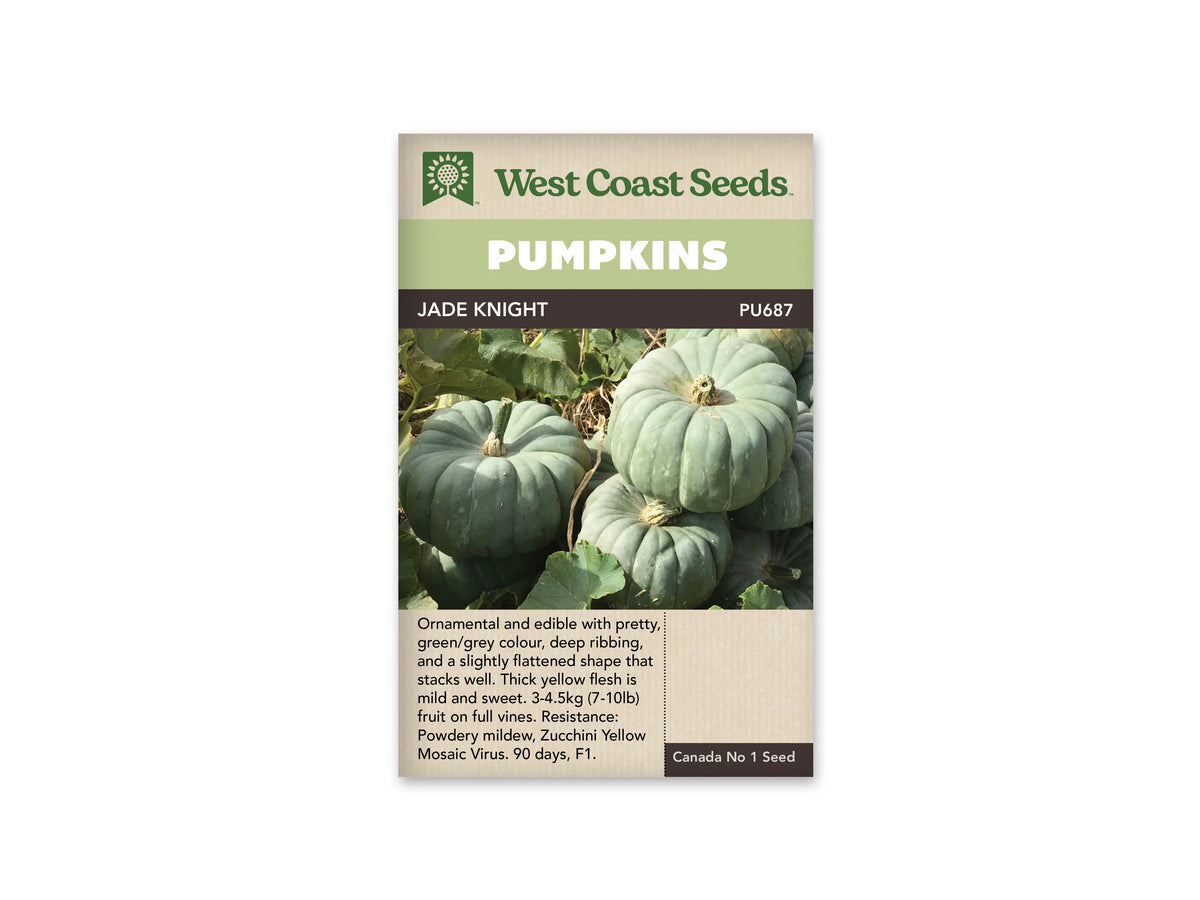 Sachet Jade Knight de West Coast Seeds avec un bandeau vert pâle et le nom sur fond sombre. La photo montre plusieurs citrouilles vert gris aux côtes profondes, regroupées parmi des feuilles et des tiges. Un fruit repose sur un autre à droite. Une zone beige portant du texte se trouve sous la photo.