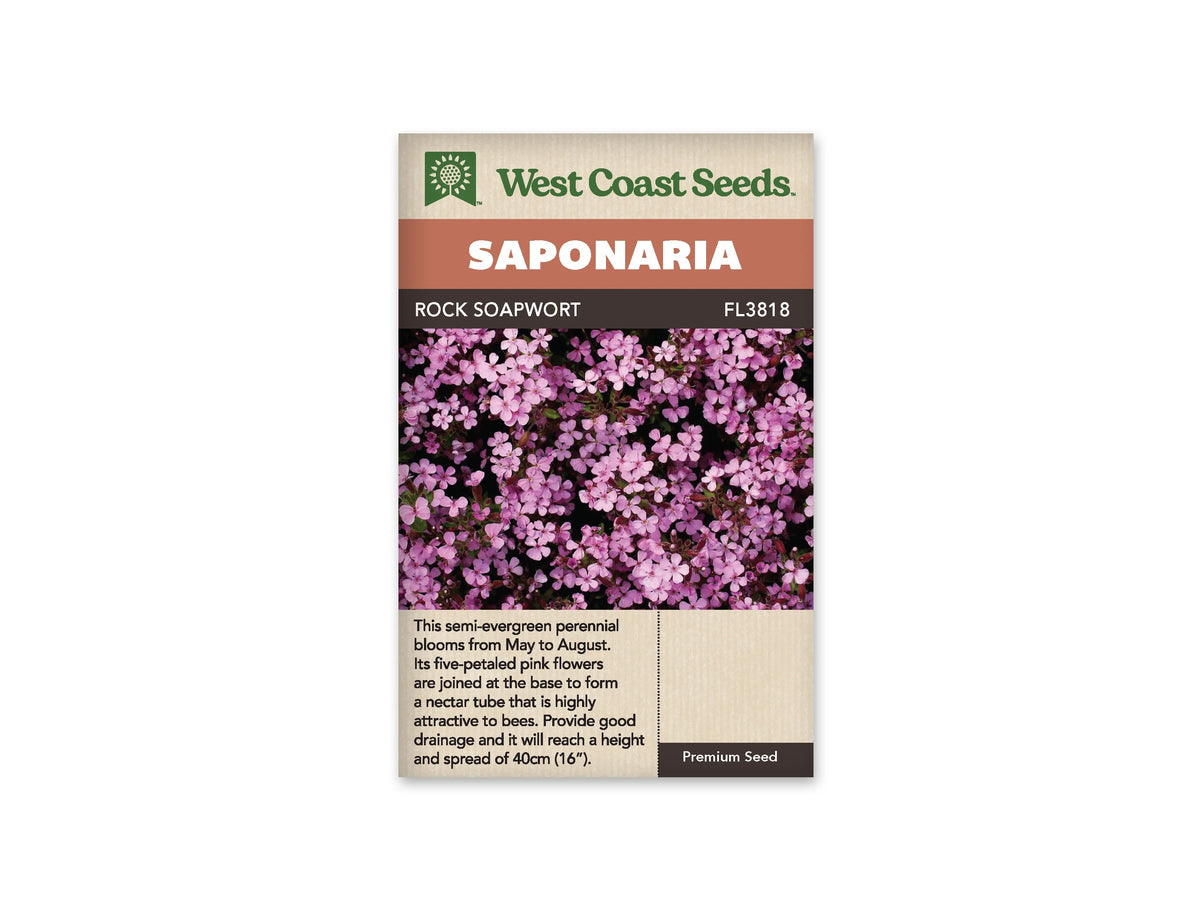 Le sachet West Coast Seeds présente un tapis dense de petites fleurs roses à cinq pétales. Les corolles se répartissent parmi de petites feuilles vertes et des tiges discrètes, avec des nuances allant du rose pâle au rose plus soutenu. Le fond sombre fait ressortir la floraison. Le bandeau indique Rock Soapwort et la référence FL3818.