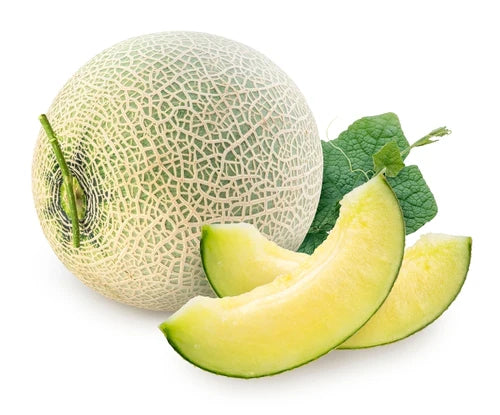 Visuel principal associé à Melon 'Eden's Gem', semences offertes par Cutleaf Seed. Cette image accompagne la fiche pour relier clairement le produit à son emballage ou à la culture présentée. Elle complète les renseignements de semis, de culture et de récolte, sans remplacer les indications propres au lot ni les conseils détaillés figurant sur le sachet.