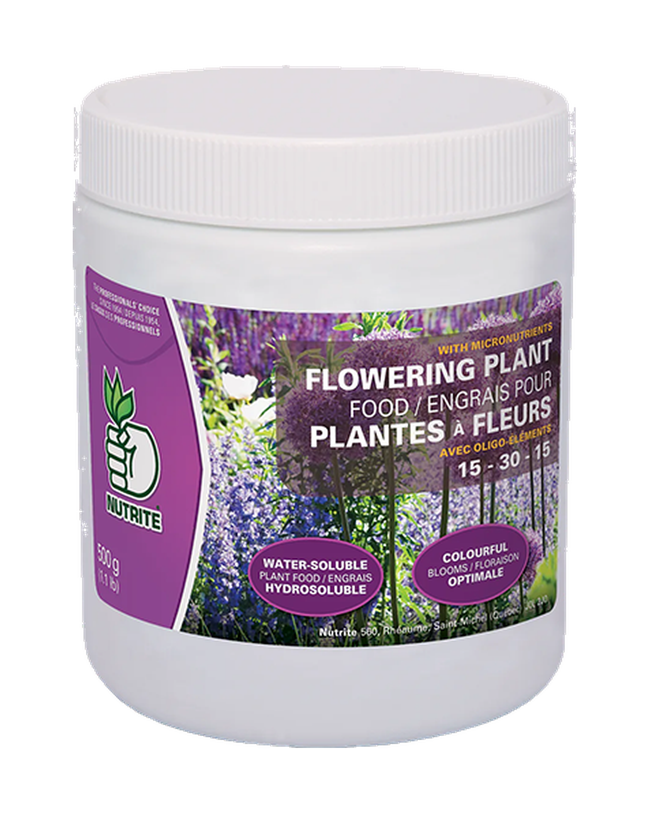 Engrais soluble 15-30-15 Nutrite pour floraison — photo sur fond blanc