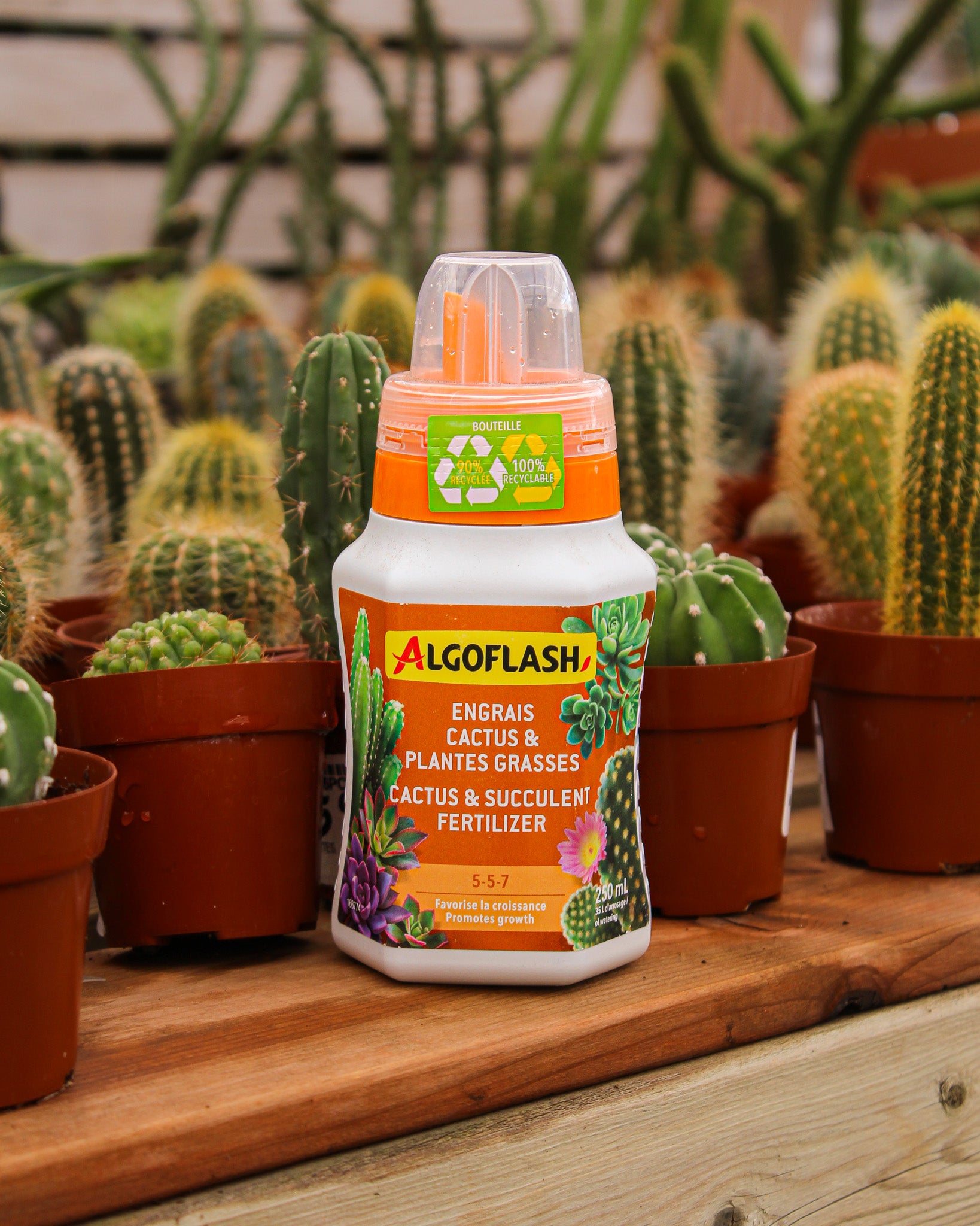 Algoflash Liquid Fertilizer for Cacti and Succulents