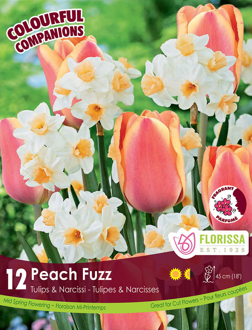 Harmonie florale 'Peach Fuzz'