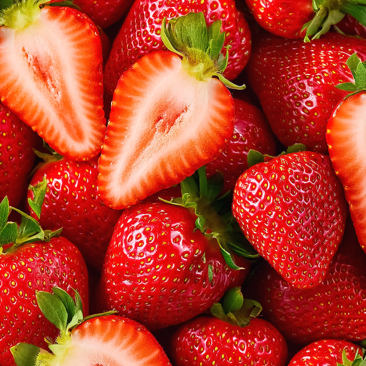 Photo de Fraise ‘Delizz®’ F1. La couleur caractéristique est : blanc. Le visuel permet d’observer les contours, les teintes et la disposition des éléments présentés. Les détails de forme et les contrastes donnent un aperçu de l’apparence de cette plante ou de sa récolte. Cette photographie accompagne la variété nommée afin de l’identifier dans la sélection de semences.