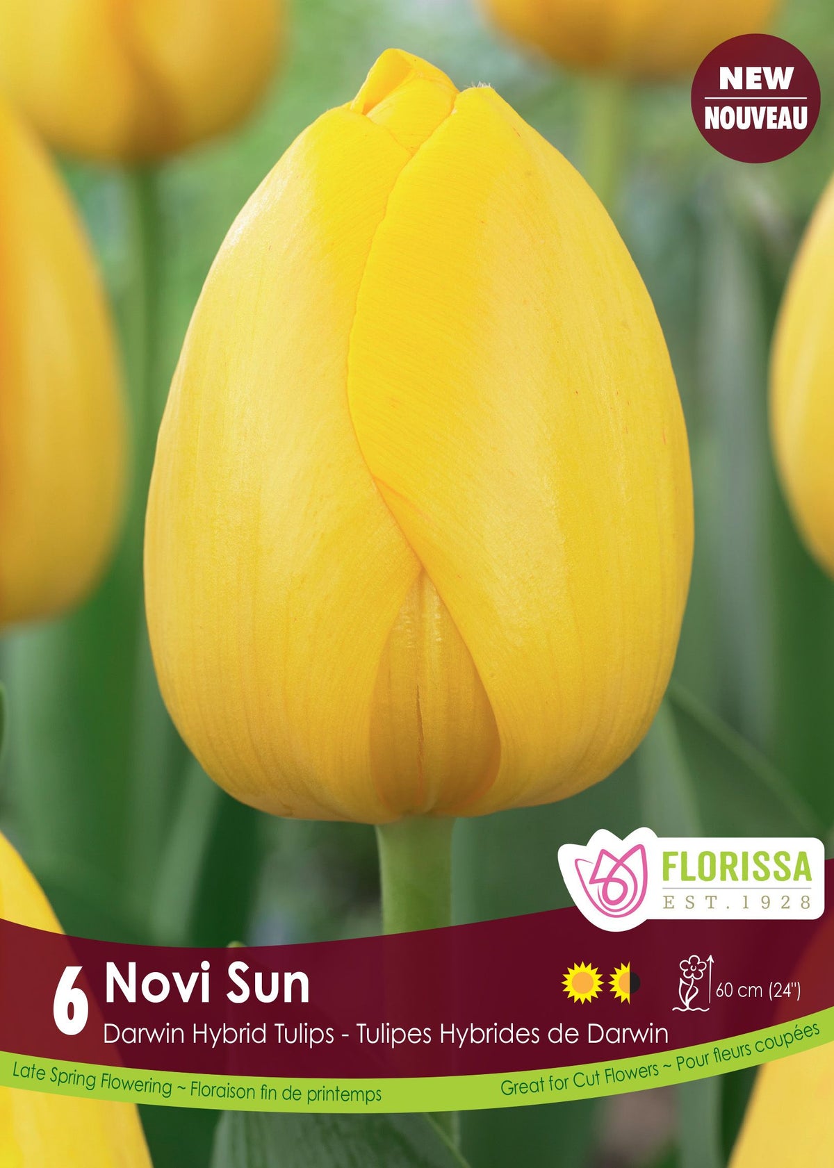 Tulipe Novi Sun ( Tulipa ) : une tulipe jaune vif en coupe arrondie. Le visuel Florissa présente la plante et son nom dans la partie inférieure de l’étiquette. La photographie occupe presque toute la surface, tandis que le bandeau du bas rassemble les indications du produit. Cette vue permet de reconnaître son apparence et de distinguer la variété présentée.