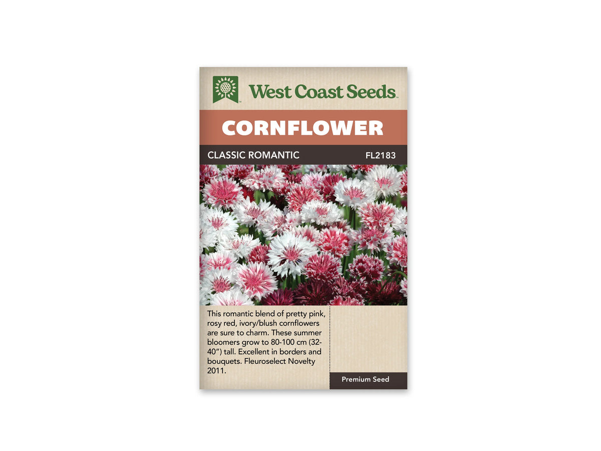 Sachet Classic Romantic de West Coast Seeds sur fond blanc. La photo montre de nombreuses fleurs roses, blanches et rouge foncé. Plusieurs fleurs ont un centre rose et des pointes blanches, avec quelques tiges vertes visibles entre elles. Le bandeau orangé indique Cornflower; Classic Romantic et la référence FL2183 figurent dans la bande brune.