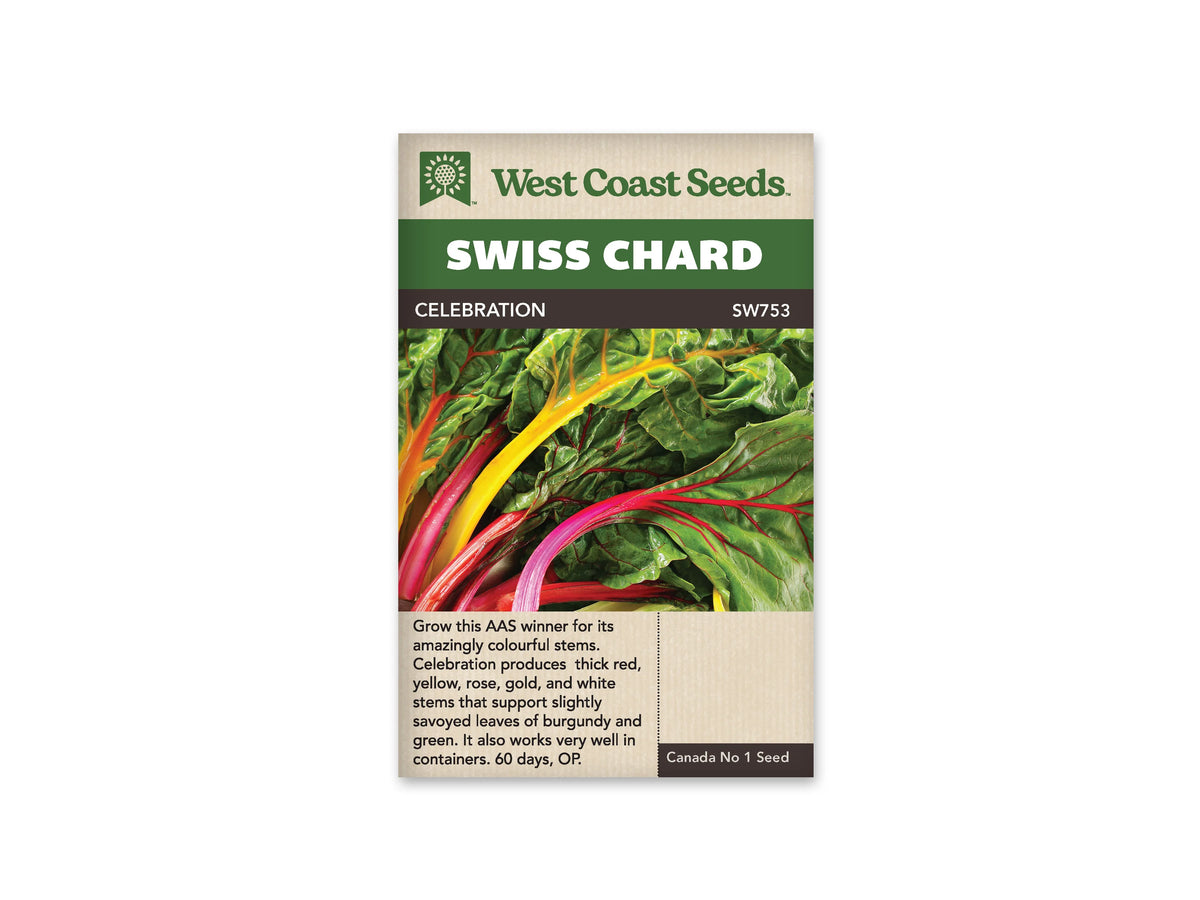 Sachet West Coast Seeds Celebration montrant des feuilles de bette avec des cardes jaunes, roses et rouges. Les nervures colorées se ramifient dans de grandes feuilles vertes légèrement gaufrées. Plusieurs pétioles courbés se croisent au premier plan. Le nom Celebration est inscrit dans le bandeau brun sous le titre Swiss Chard.