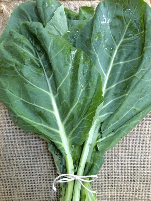 Semences Chou frisé sibérien (Brassica napus var. pabularia)