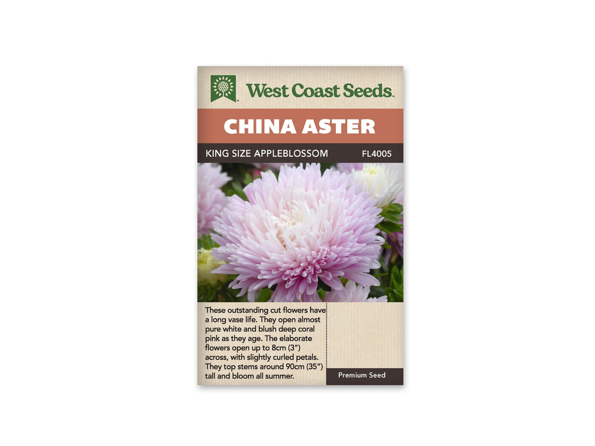 Sachet King Size Appleblossom de West Coast Seeds sur fond blanc. La photo montre une fleur rose très pâle, au centre blanchâtre, avec de nombreux pétales étroits. D’autres fleurs et des feuilles vertes apparaissent derrière elle. Le nom China Aster figure sur le bandeau orangé; King Size Appleblossom et la référence FL4005 sont inscrits plus bas.