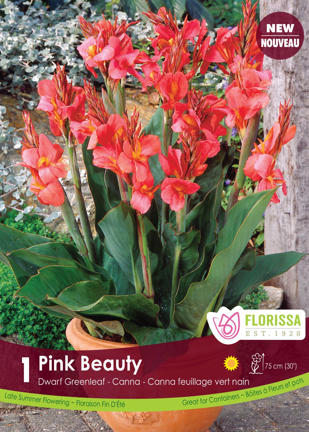 Canna ‘Green Pink Beauty’ ( Canna ‘Pink Beauty’) : un canna à fleurs roses cultivé en pot. Le visuel Florissa présente la plante et son nom dans la partie inférieure de l’étiquette. La photographie occupe presque toute la surface, tandis que le bandeau du bas rassemble les indications du produit. Cette vue permet de reconnaître son apparence et de distinguer la variété présentée.