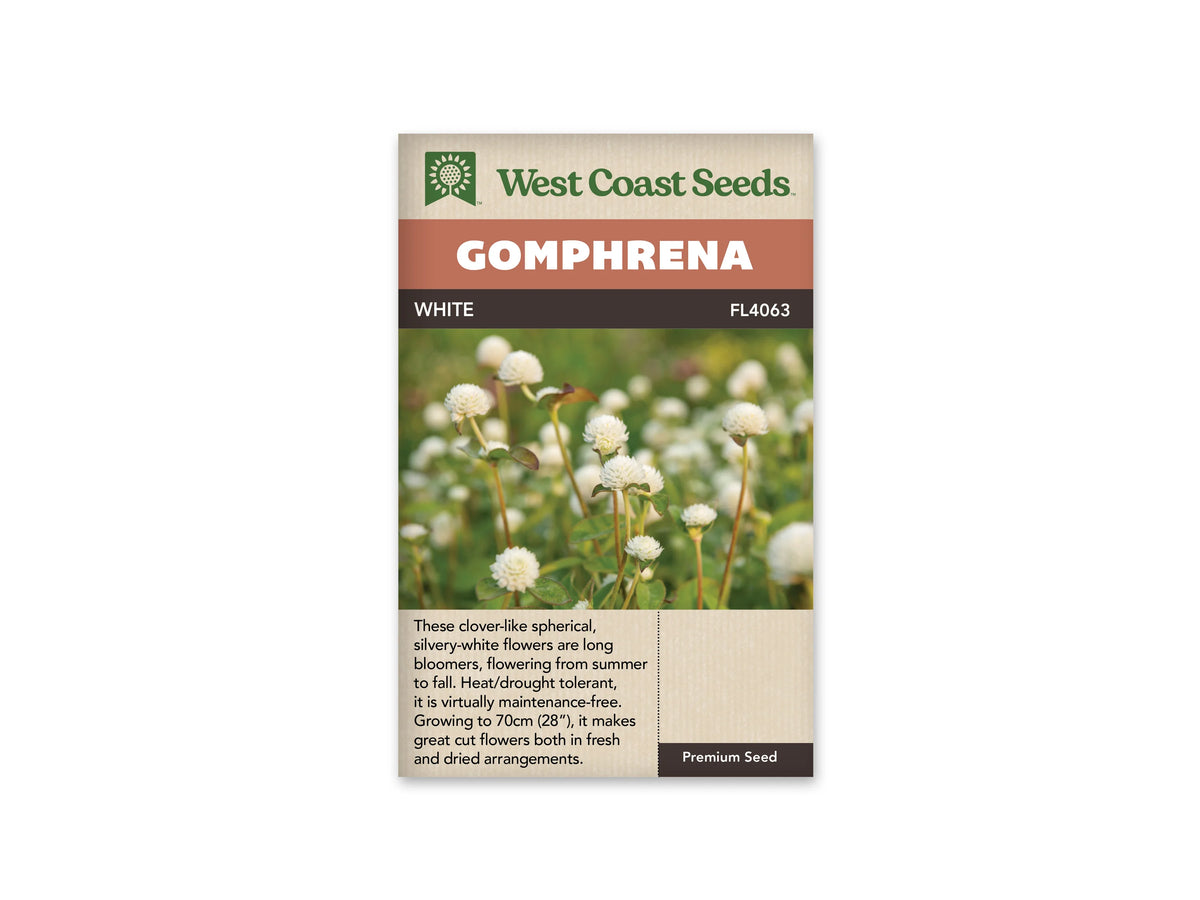 Sachet White de West Coast Seeds sur fond blanc. La photo montre des têtes rondes blanches à crème au bout de tiges vertes et brunâtres, parmi des feuilles allongées. Plusieurs fleurs se détachent devant un fond vert flou. Le bandeau orange indique Gomphrena; la bande brune porte White et le code FL4063.