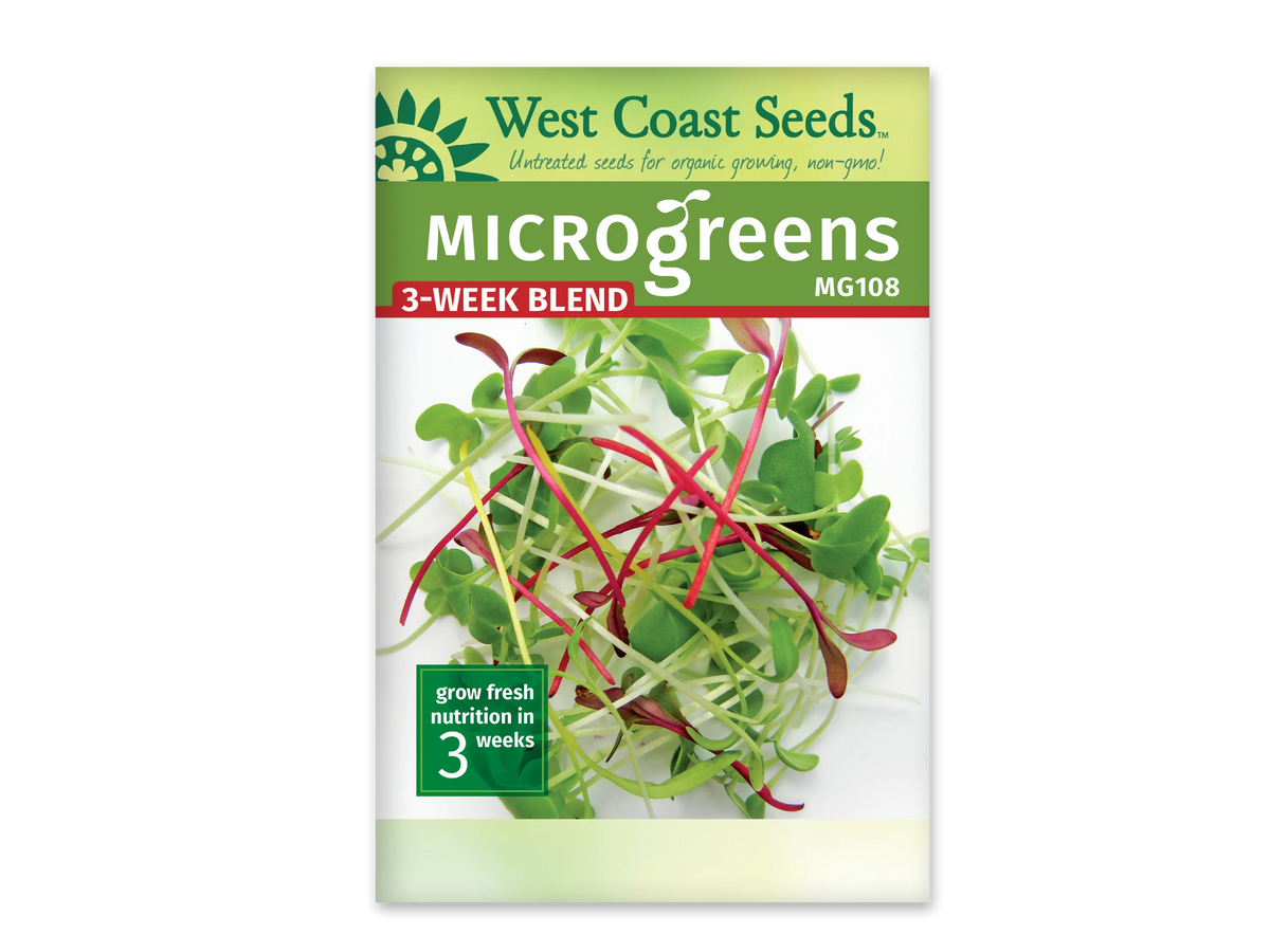 Sachet West Coast Seeds du mélange de micropousses trois semaines, avec la mention 3-Week Blend en blanc sur fond rouge. La photo présente de petites feuilles vertes et pourpres, mêlées à des tiges pâles, roses et rouges sur un fond blanc. Le code MG108 apparaît dans le bandeau vert. Un encadré en bas indique trois semaines.