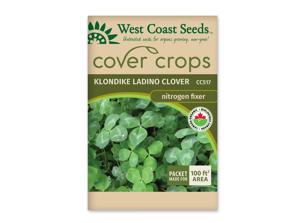 Sachet beige et vert West Coast Seeds de la gamme Cover Crops, portant le nom anglais Klondike Ladino Clover. La photographie montre un tapis de feuilles vertes à trois folioles, avec des gouttelettes d'eau visibles. Le logo biologique apparaît dans le coin inférieur gauche. Un encadré dans le coin inférieur droit annonce une couverture de 100 pieds carrés. Le sachet est présenté sur un fond blanc.