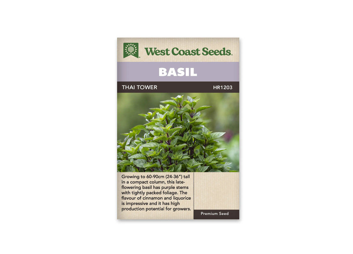 Sachet West Coast Seeds de Basilic thaï ‘Thai Tower’, présenté de face sur fond blanc. La photographie centrale montre le sommet d’un basilic dense, avec de nombreuses petites feuilles vertes et des tiges sombres. Le feuillage se détache sur un arrière-plan végétal flou. Un bandeau mauve indique BASIL, au-dessus du nom imprimé sur fond foncé. Le bas beige contient un texte descriptif en anglais.