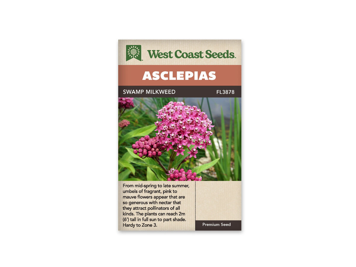 Sachet Swamp Milkweed de West Coast Seeds sur fond blanc. La photo montre des bouquets de petites fleurs roses à cœur blanc, des boutons ronds et de longues feuilles vertes étroites. Le mot Asclepias paraît dans le bandeau supérieur. Le nom Swamp Milkweed et le code FL3878 sont inscrits sur le bas beige du sachet.
