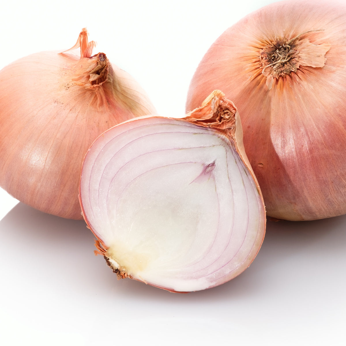 Photo de Oignon Blush Rose F1. La couleur caractéristique est : rose. Le visuel permet d'observer les contours, les teintes et la disposition des éléments présentés. Les détails de forme et les contrastes donnent un aperçu de l'apparence de cette plante ou de sa récolte. Cette photographie accompagne la variété nommée afin de l'identifier dans la sélection de semences.