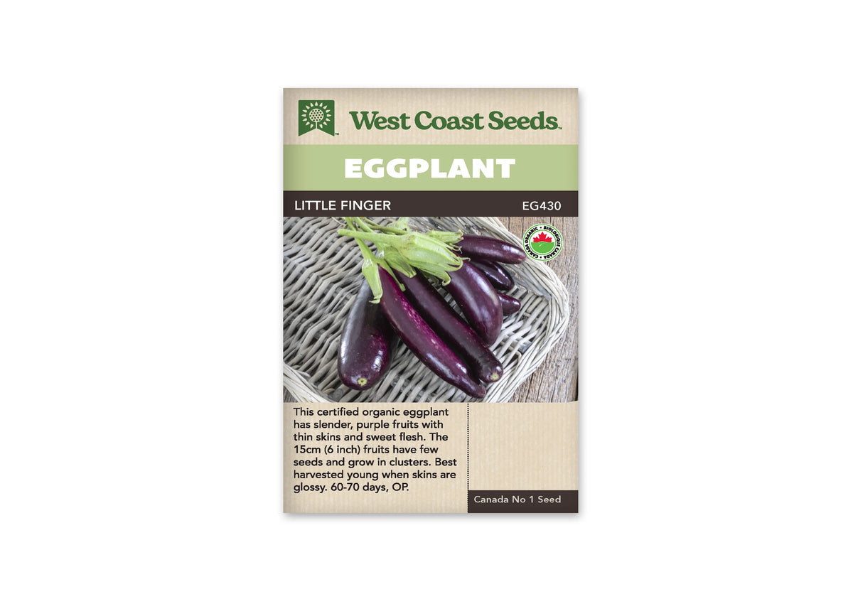 Sachet Little Finger de West Coast Seeds, avec une bande vert pâle et le nom sur fond sombre. La photo montre un groupe de petites aubergines longues et violettes, aux calices verts, posées dans un panier gris clair. Un logo biologique apparaît à droite. Le bas du sachet porte du texte sur fond beige.