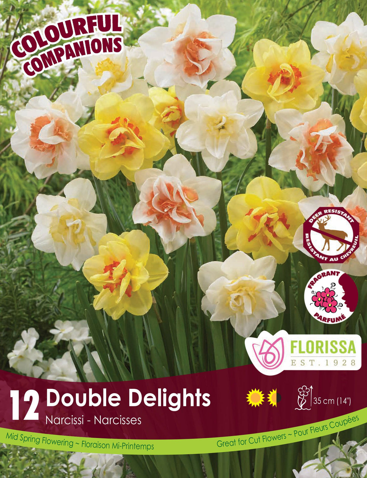Harmonie Florale ‘Double Delights’ ( Narcissus spp.) : des narcisses doubles crème, jaunes et rose pêche. Le visuel Florissa présente la plante et son nom dans la partie inférieure de l’étiquette. La photographie occupe presque toute la surface, tandis que le bandeau du bas rassemble les indications du produit. Cette vue permet de reconnaître son apparence et de distinguer la variété présentée.