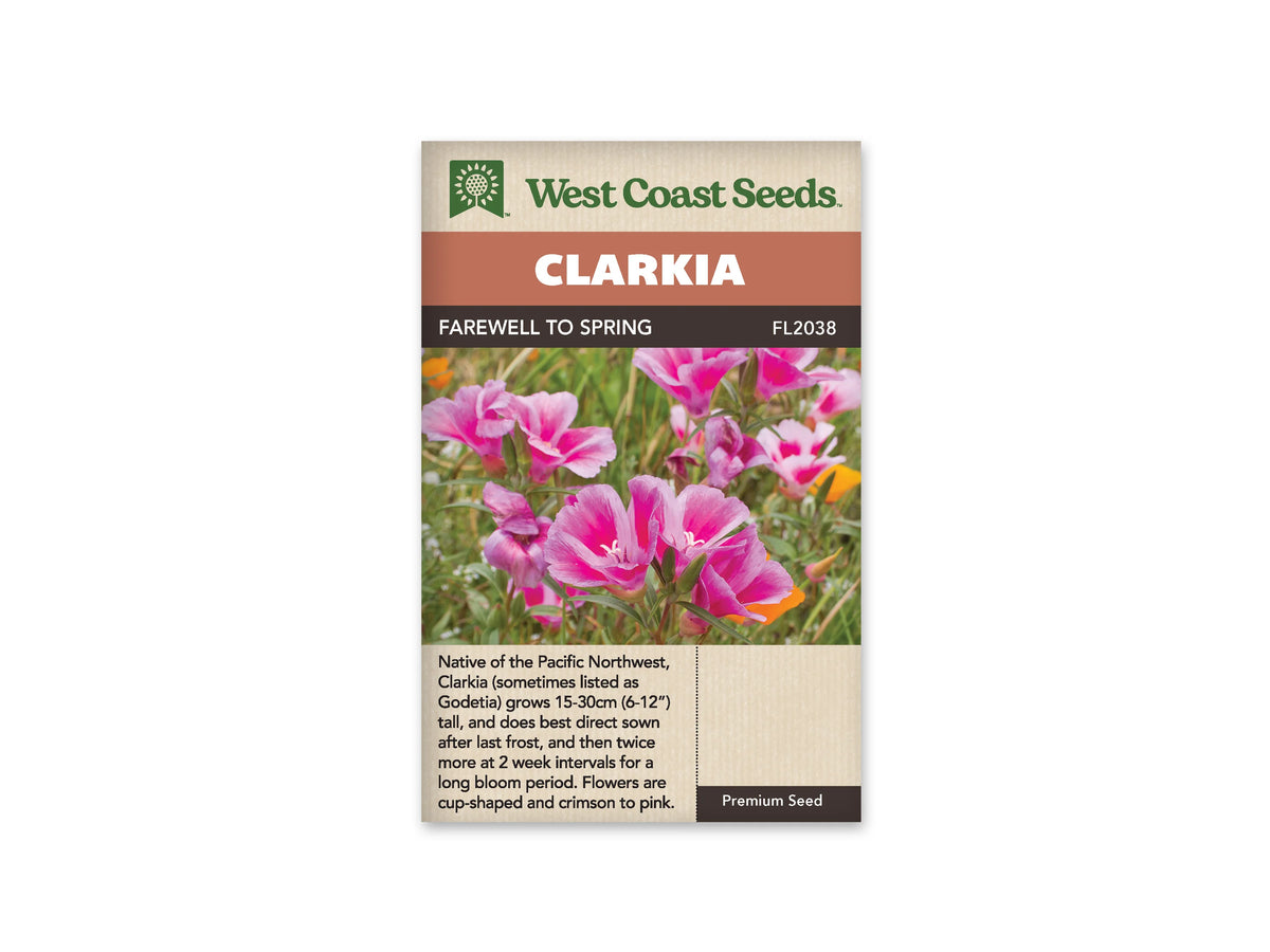 Sachet Farewell to Spring de West Coast Seeds sur fond blanc. La photo montre plusieurs fleurs roses en coupe, aux pétales plus clairs sur les bords et marqués de rose vif au centre. Des tiges et feuilles vertes les entourent. Le bandeau orangé indique Clarkia; la référence FL2038 apparaît près du nom dans la bande brune.