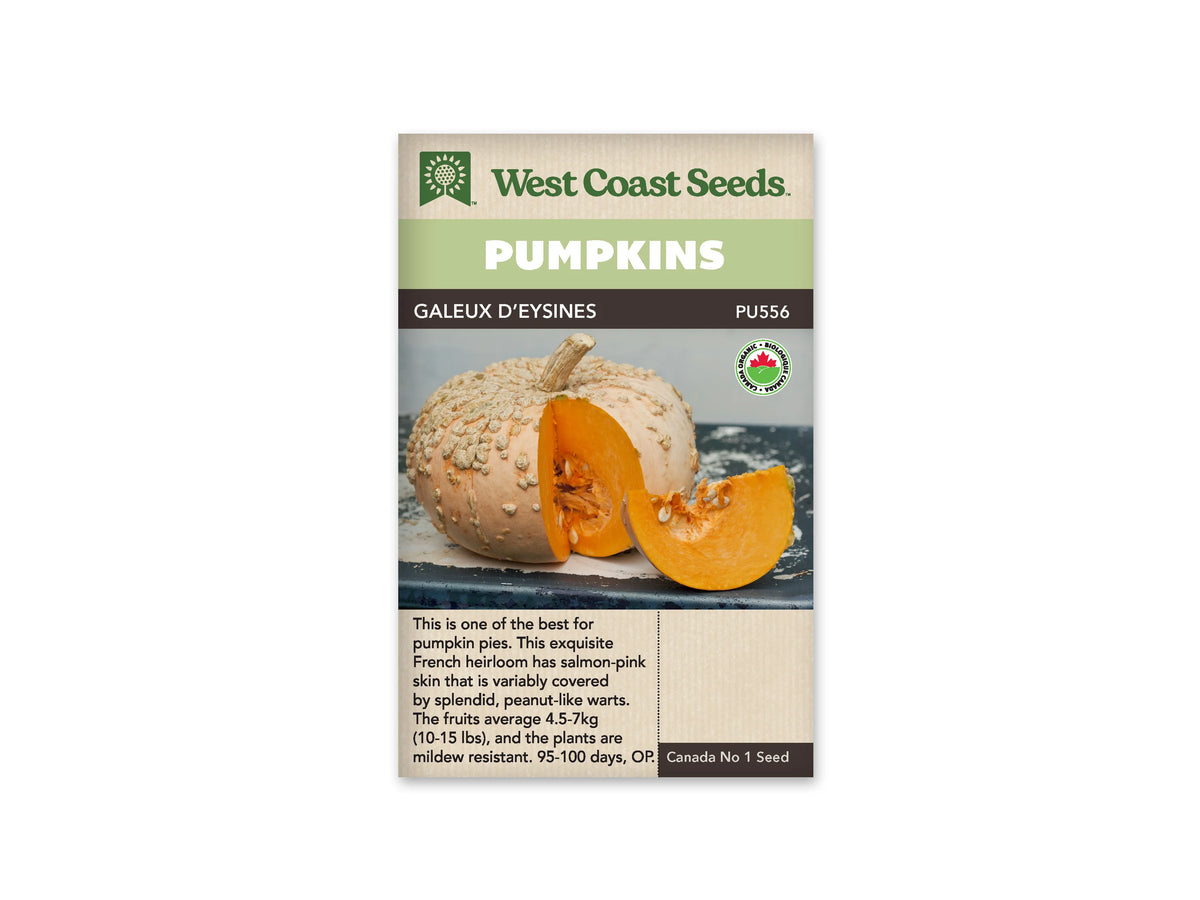 Sachet biologique Galeux d’Eysines de West Coast Seeds avec un bandeau vert pâle et un logo à feuille d’érable. Une citrouille rose pâle à reliefs beiges est ouverte, montrant sa chair orange. Un quartier avec des graines repose devant elle sur une surface sombre écaillée. Le nom figure sur une bande sombre au-dessus de la photo.
