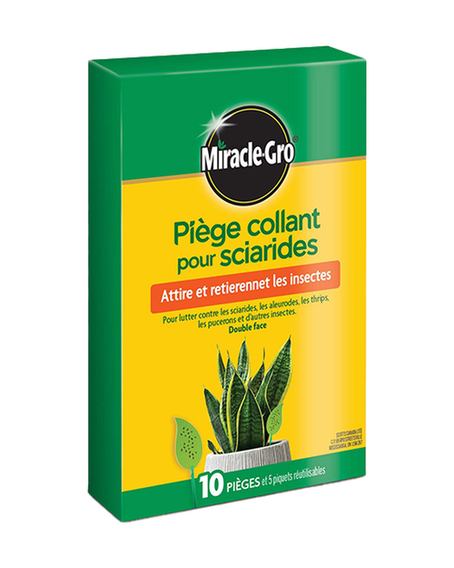 10 pièges collants pour sciarides Miracle-Gro