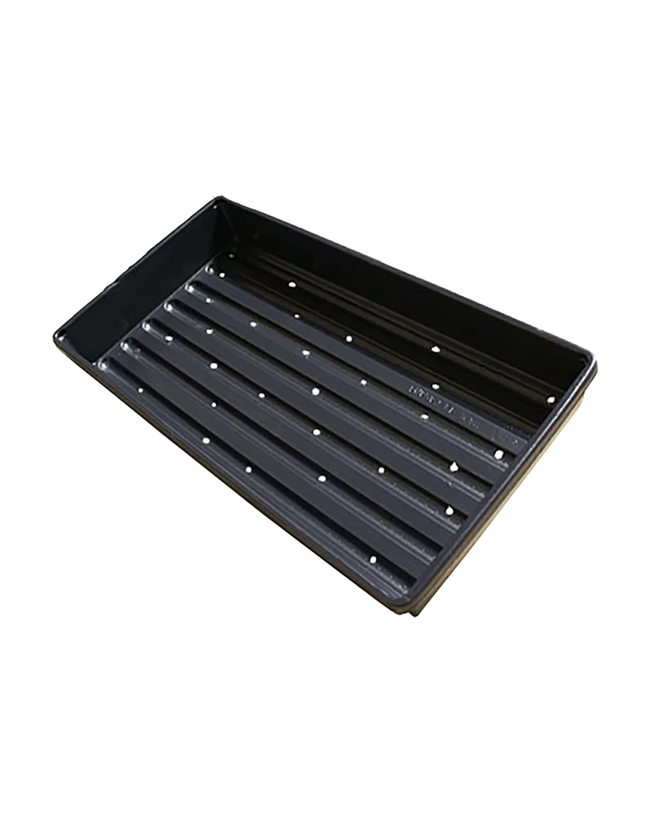 Plateau 10" x 20" avec trous pour semis et culture — photo sur fond blanc