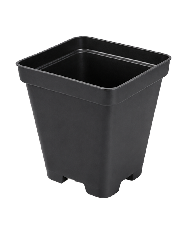 Pot de culture en plastique carré noir avec drainage — photo sur fond blanc