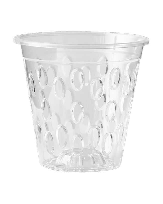 Pot transparent rigide pour orchidée 5.5 pouces — photo sur fond blanc