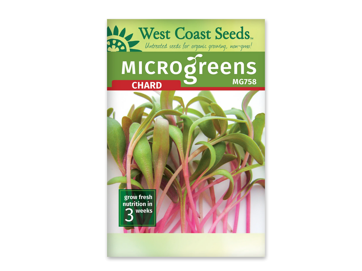 Sachet blanc West Coast Seeds pour micropousses de bette à carde, portant le nom Chard en rouge sous un bandeau vert. La photo montre des feuilles vertes allongées sur de fines tiges roses à magenta, dressées devant un fond blanc. Le code MG758 figure en haut à droite. Un encadré vert indique trois semaines au bas du sachet.