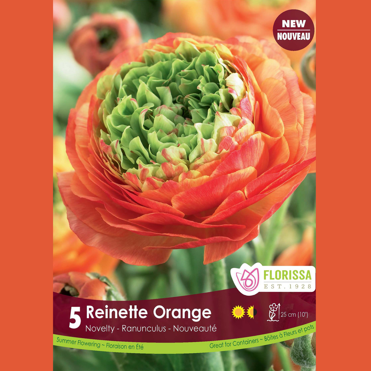 Renoncule ‘Reinette Orange’ (5 bulbes) ( Ranunculus ) : une renoncule orange portant un grand cœur vert. Le visuel Florissa présente la plante et son nom dans la partie inférieure de l’étiquette. La photographie occupe presque toute la surface, tandis que le bandeau du bas rassemble les indications du produit. Cette vue permet de reconnaître son apparence et de distinguer la variété présentée.