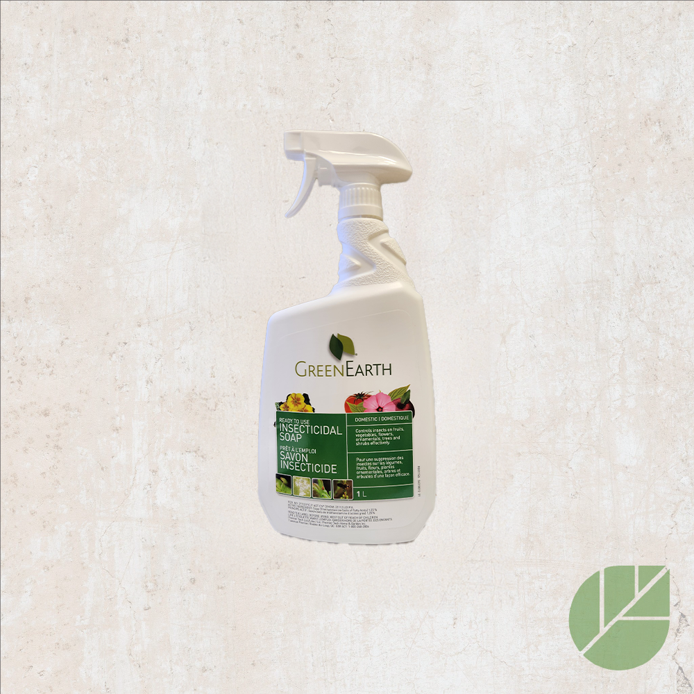 green earth insecticidal soap Green Earth Insecticide Soap – Ready to Use and Eco-Friendly – Pépinière.ca
